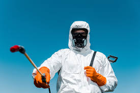 Best Indoor Pest Control  in Pine Bluffs, WY